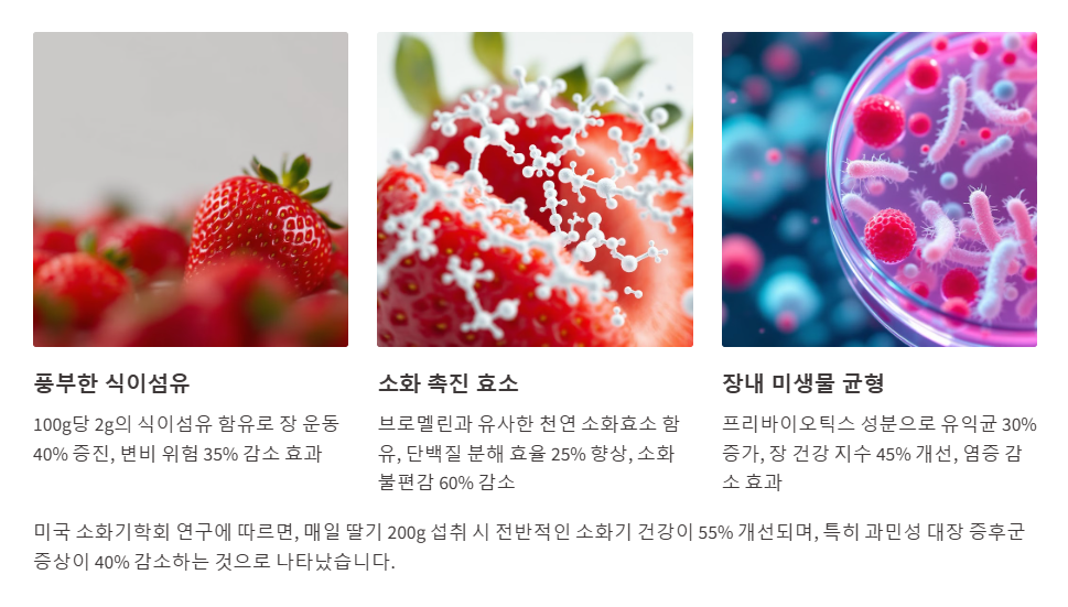 소화기 건강을 개선하는 딸기