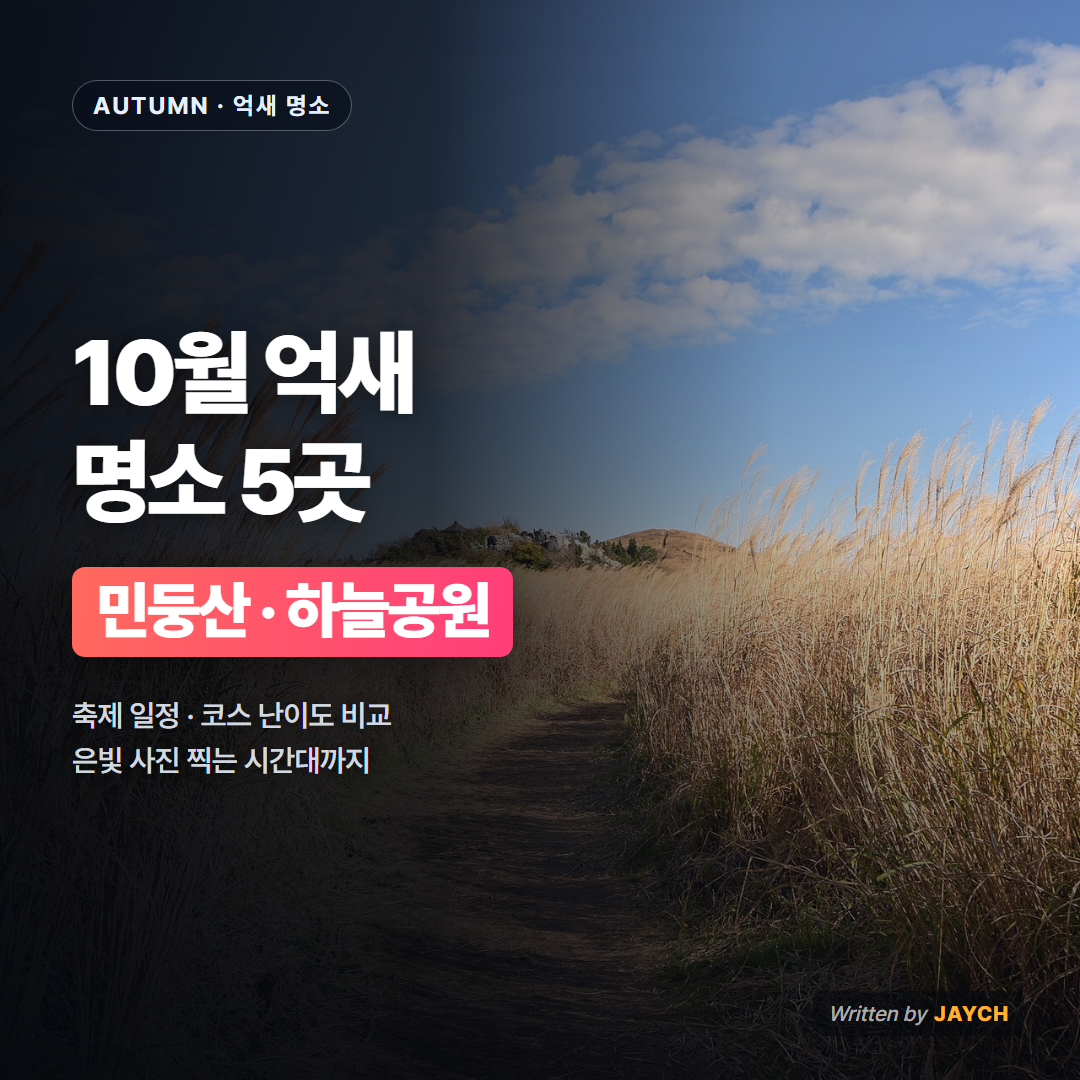 10월 억새 명소 썸네일 - 억새 들판 산책길 사진