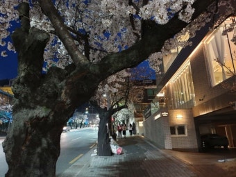 대구 관문시장에 있는 할매집식당