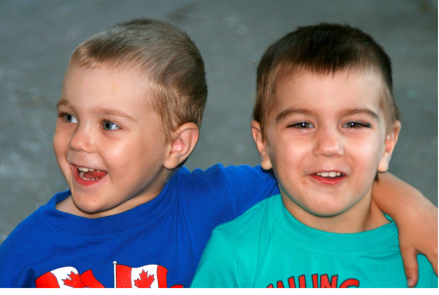 브랜드별쌍둥이육아템