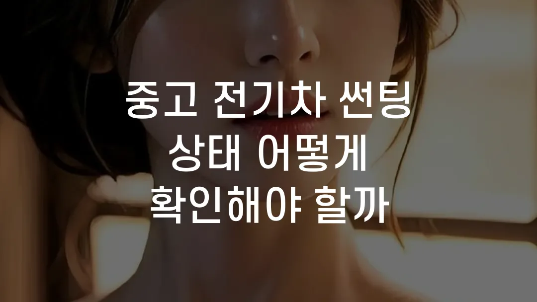 중고 전기차 썬팅 상태 어떻게 확인해야 할까