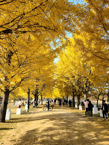 경기도 가볼만한곳 베스트 10