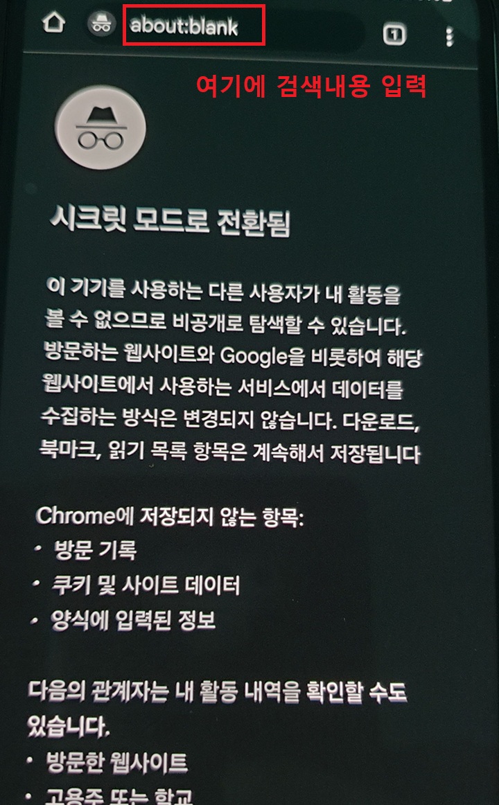 시크릿 모드 보임