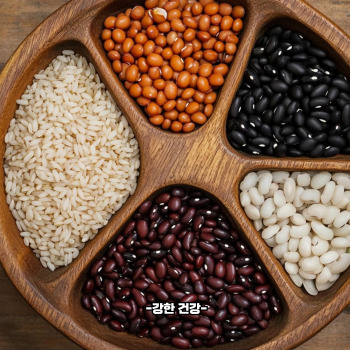 초복에 좋은 음식