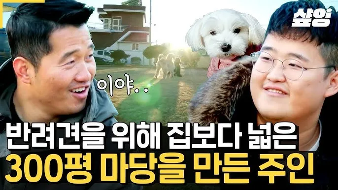 행복한 반려견 맞이하기 나에게 맞는 강아지 선택 가이드_5