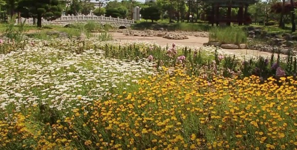 생생정보 믿고 떠나는 스타의 고장 가수 박남정 경남 함안 여행 코스 함안낙화놀이 무진정 식당 탐밀 카페두루고 함주공원