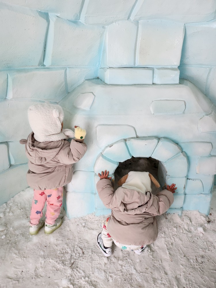 이글루를 구경하는 아이들