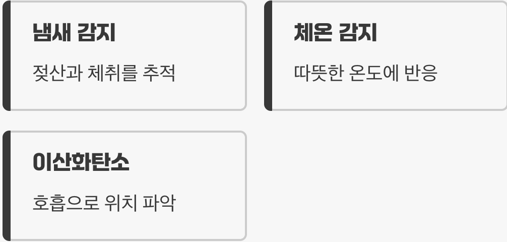 모기가 듣지 못하는 이유 (진실)