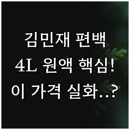 에어시스 김민재편백 피톤치드 원액 4..
