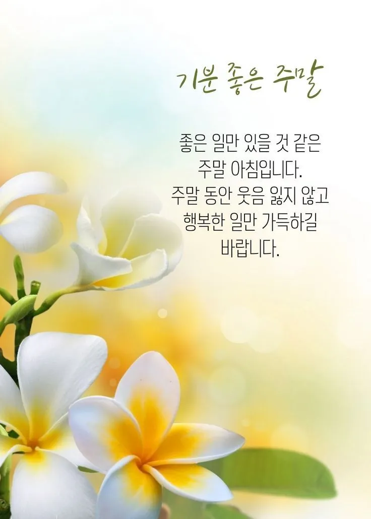 아침 인사로 좋은 글 이쁜글 기분좋은 인사말_1