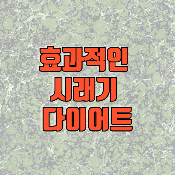 시래기 다이어트