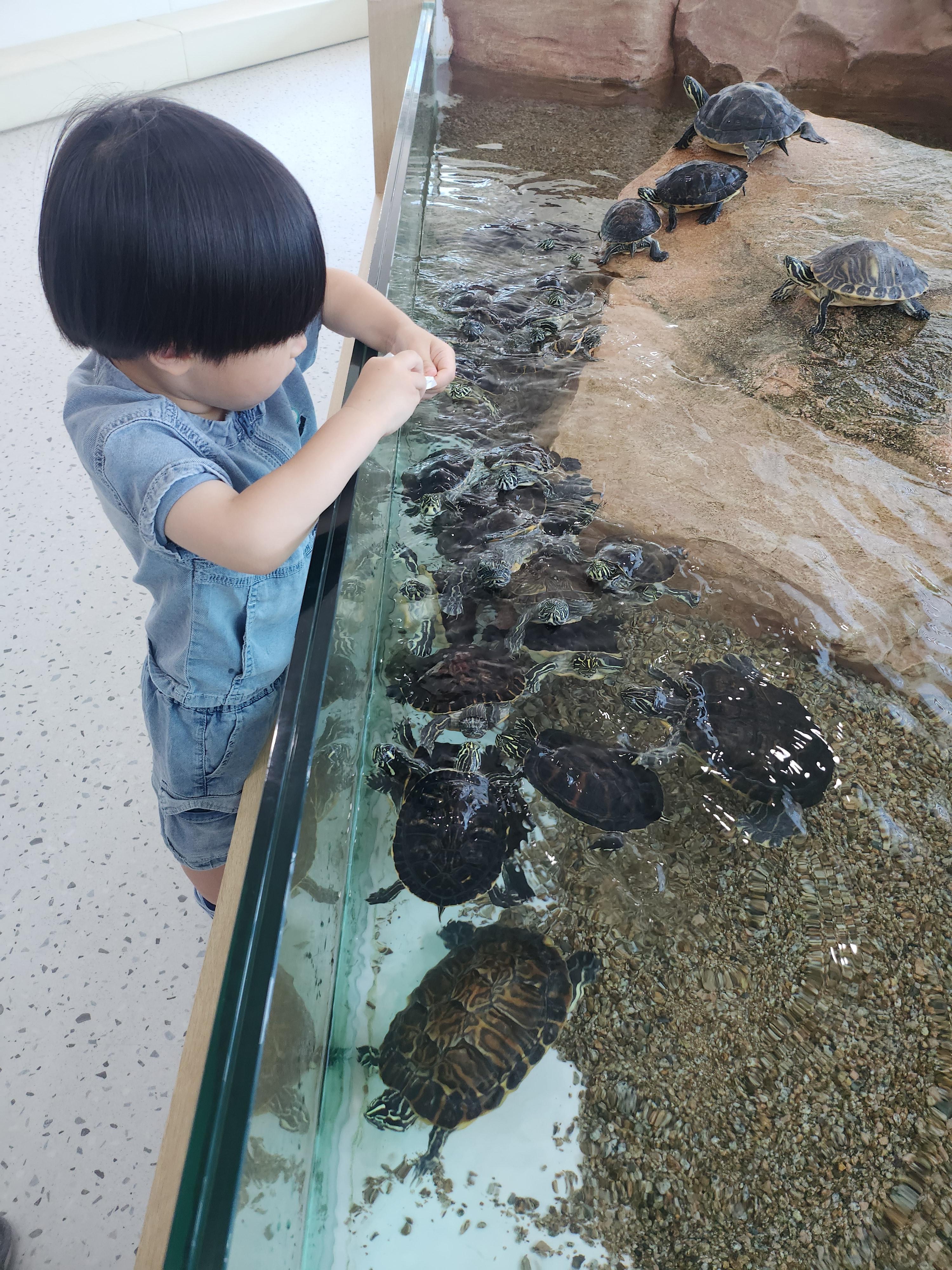 명지-아쿠아플레이하우스-거북-먹이-체험