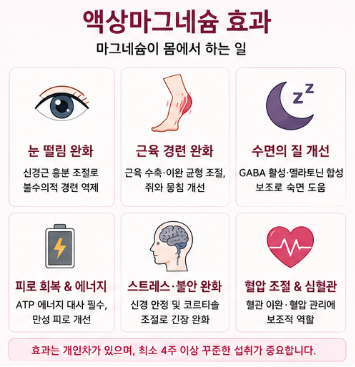 액상마그네슘-효과-흡수-추천-제품-비교-다이소-약국
