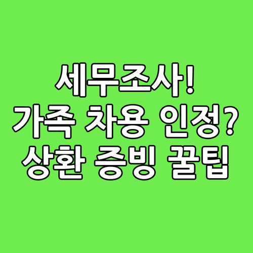 세무조사 대비 가족 차용 인정받는 원..