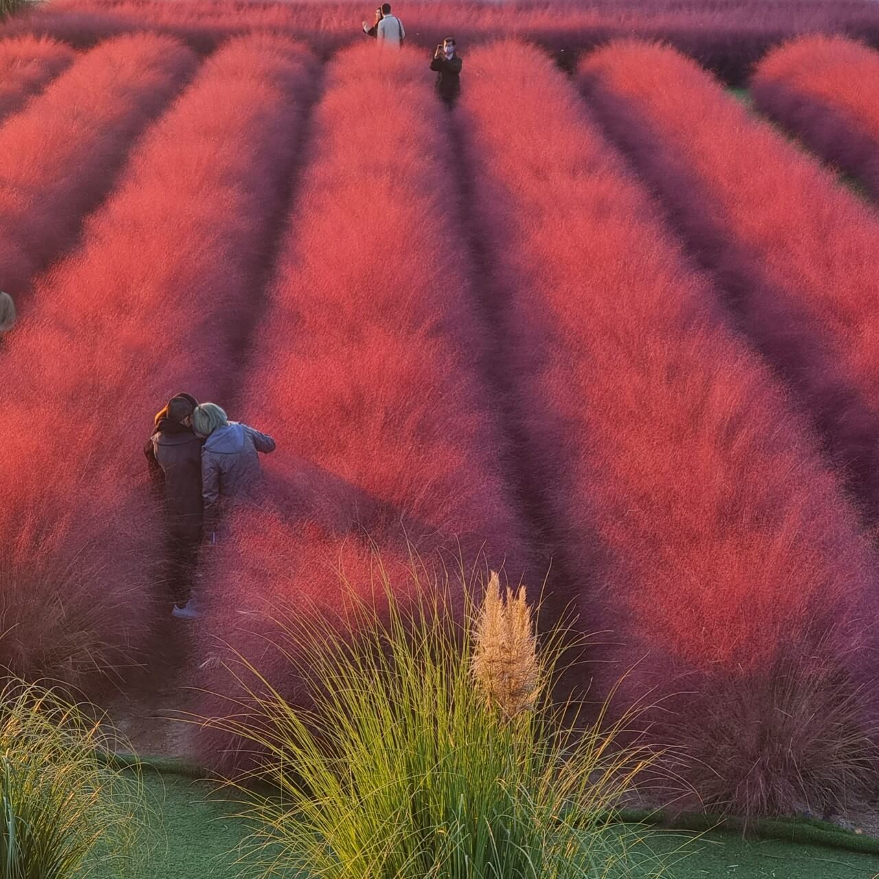 오늘N 대한민국 보물정원 강원 춘천 유기농 카페 오늘N 2503회