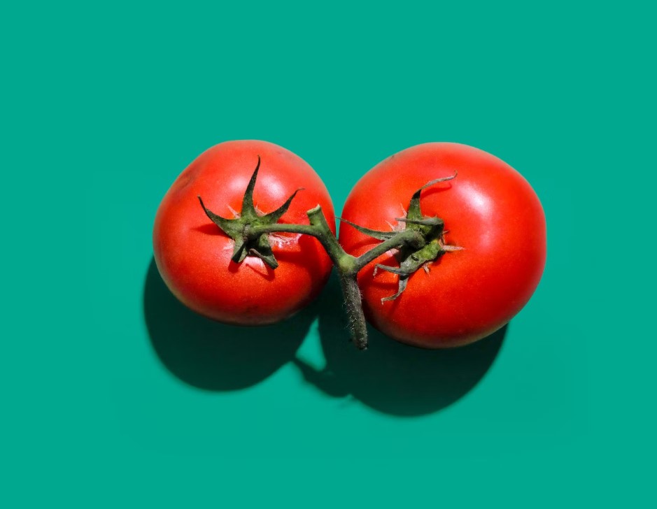 익혀먹으면 좋은 채소