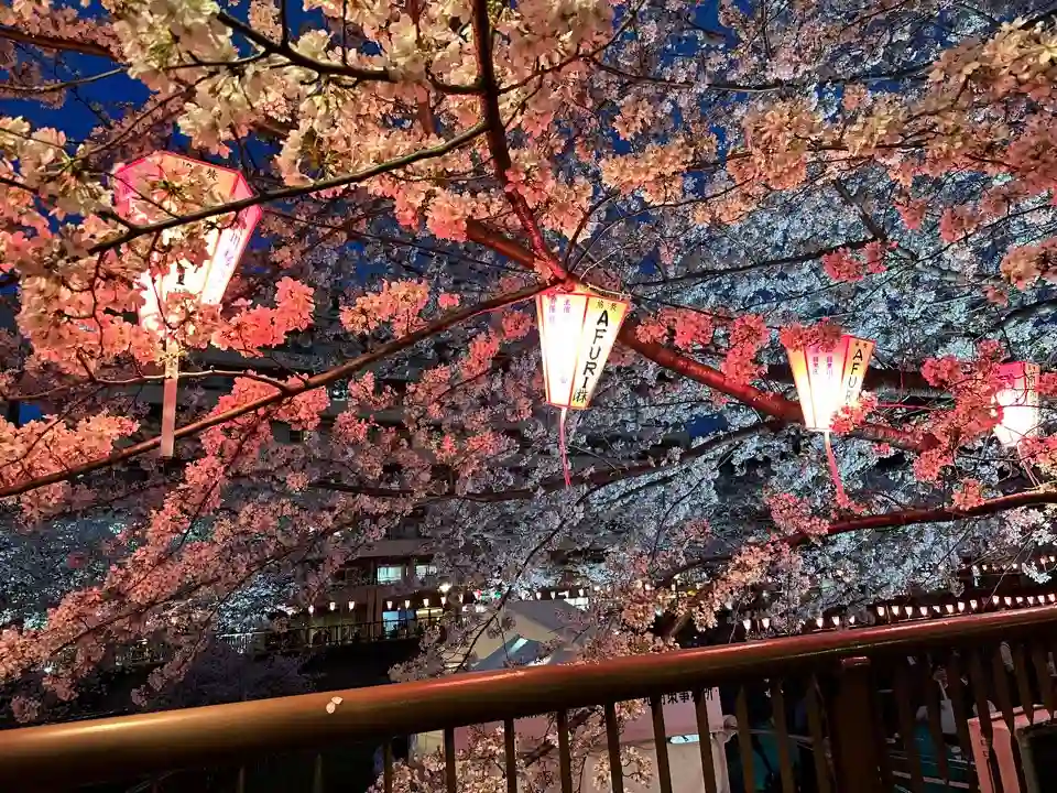 야경을 담당하는 조명은 주변 현지인들이 직접 제작