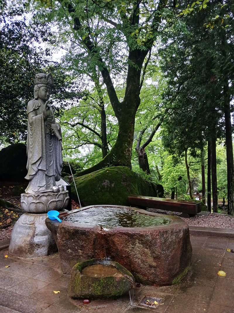 경남 쌍계사 템플스테이 신청 방법