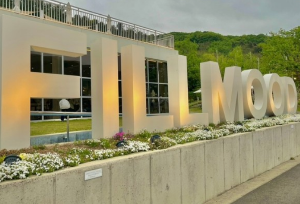 샤스타데이지 카페명소 BEST 5곳