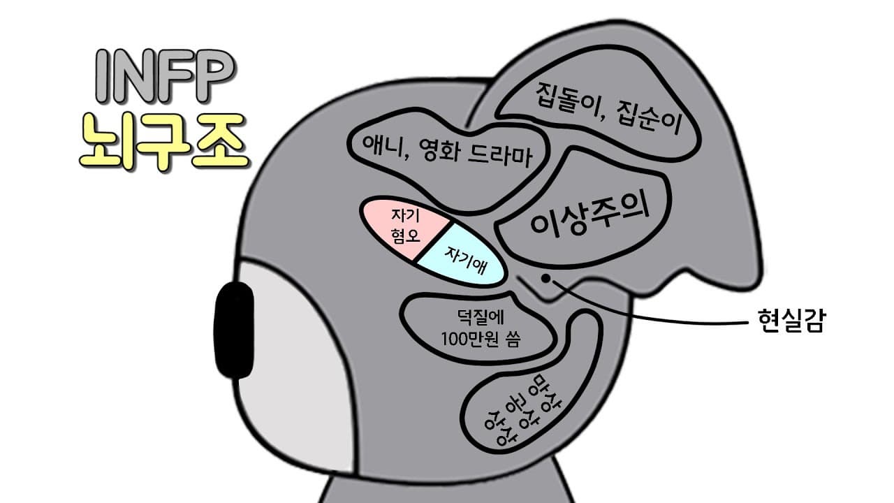 MBTI의 유형 중 하나인 INFP의 뇌구조 이미지