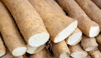 마 효능 보관법 먹는법 마즙 만들기까지 종합 가이드_17