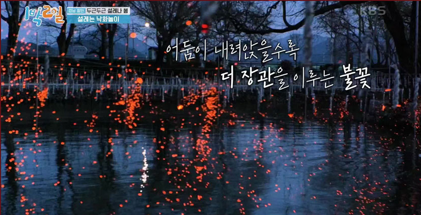 2025 함안 낙화놀이 예약 꿀팁+예매 링크까지 한 번에 정리(+어린이날 여행, 선착순!)