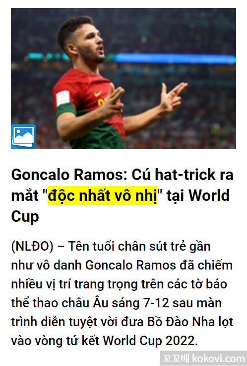 "독 녓 보 니"를 인용한 기사 캡처