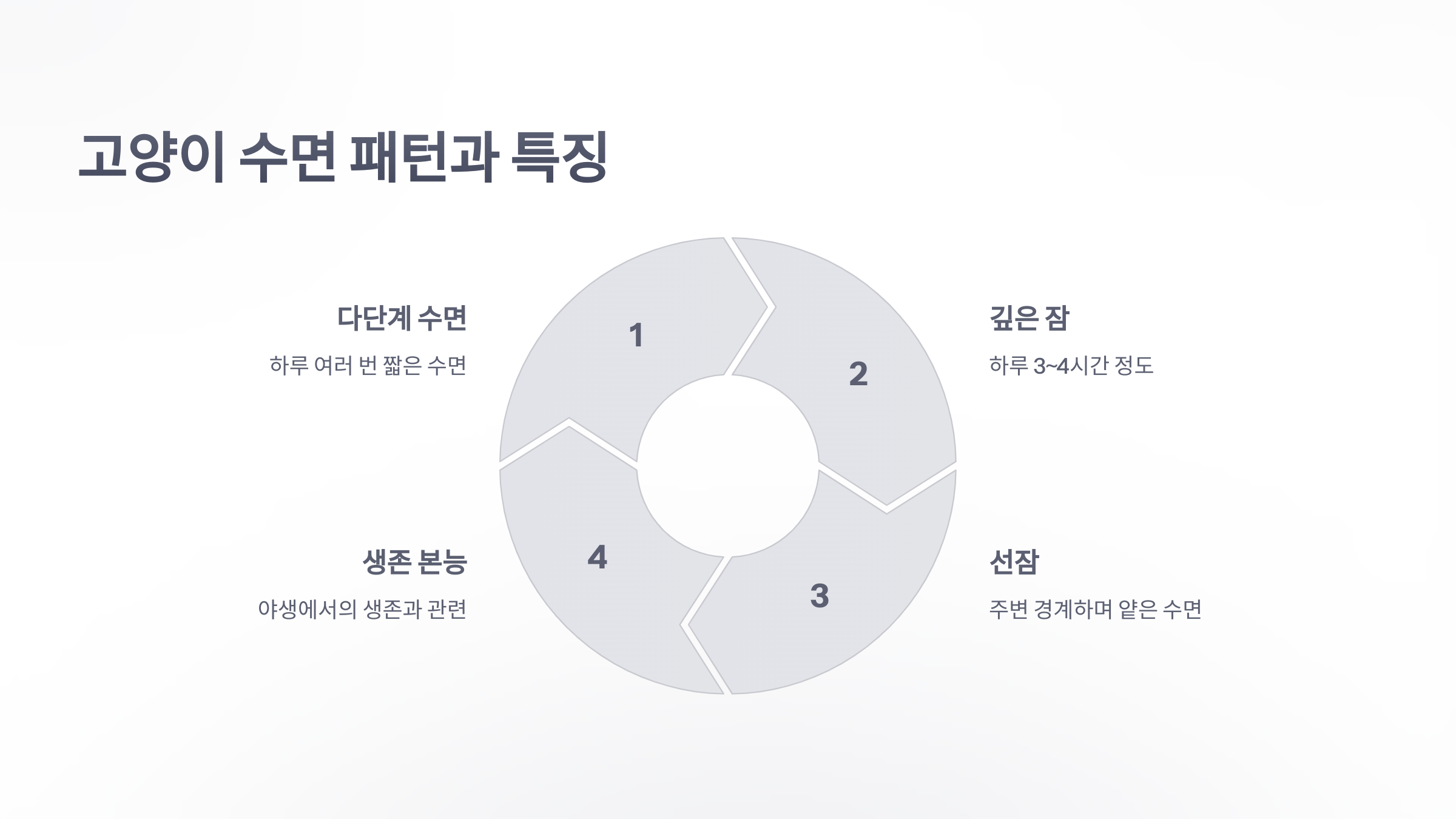 참조-고양이-수면시간-4