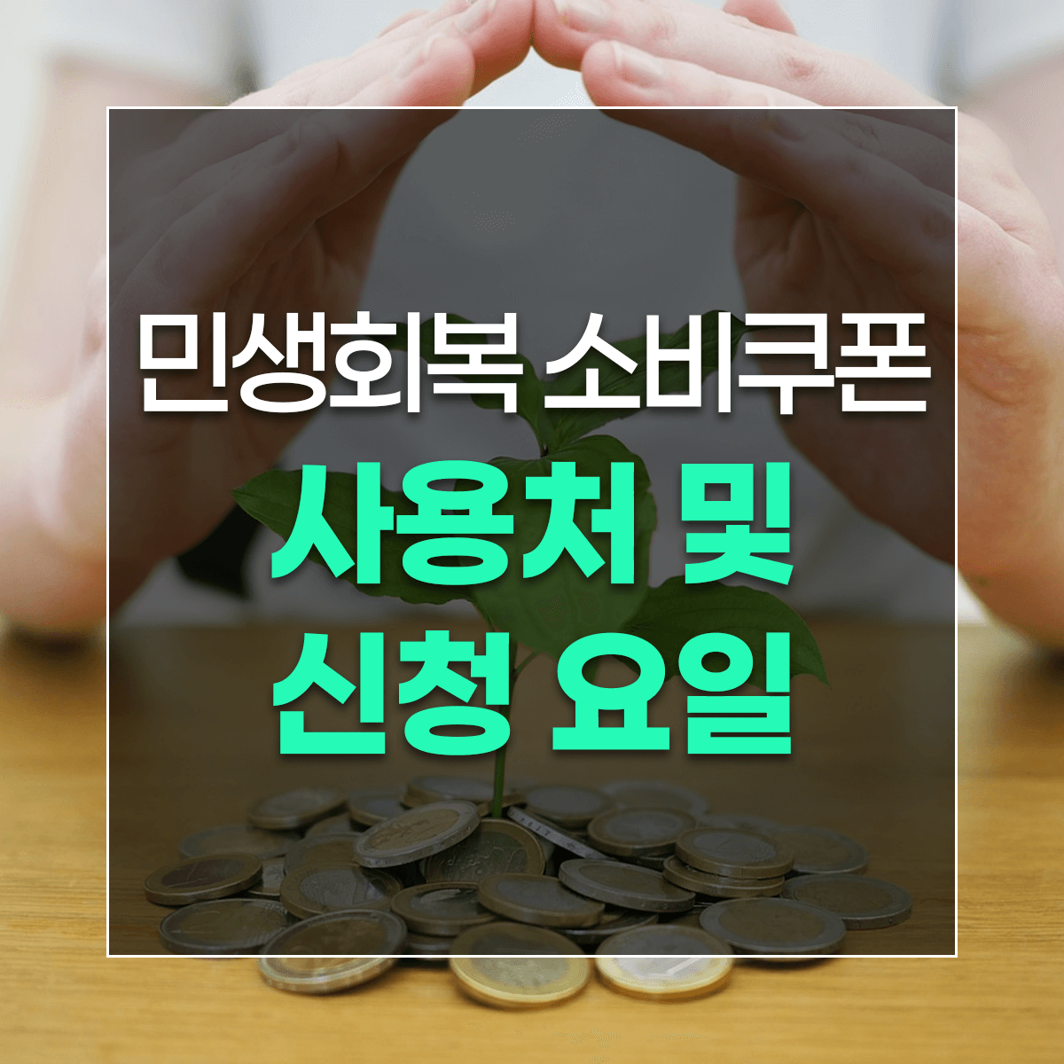 민생회복 소비쿠폰 사용처 및 신청 요일
