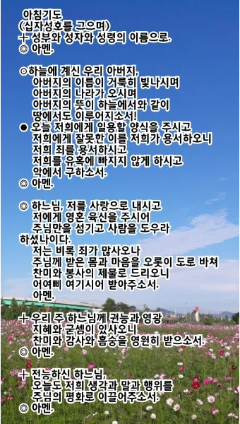 천주교 하루를 마무리하는 감사한 저녁기도문 모음_24