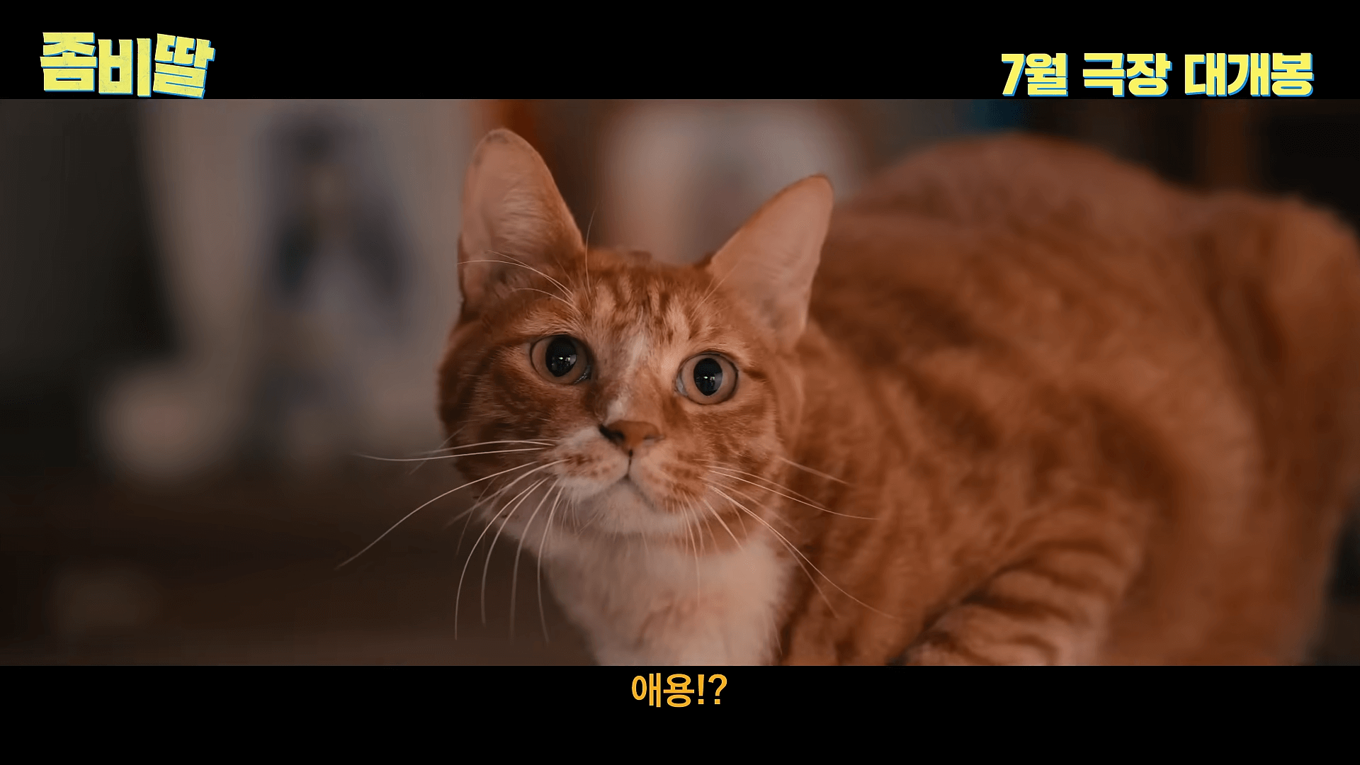 좀비딸 영화