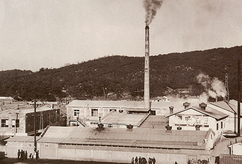 삼양식품 주가 전망, 배당금, 실적발표