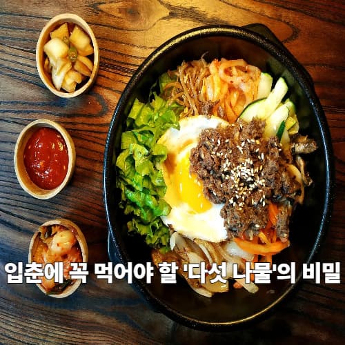 2026 입춘 절입시간 확인! 면역력 깨우는 전국 비빔밥 미식 여행