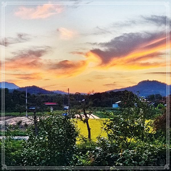 6시 내고향 소문난 합격 명당? 남매의 촌집 소개 방송