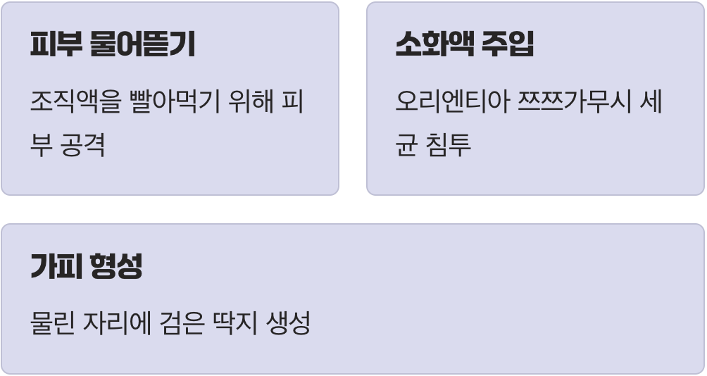 병균이 우리 몸속으로 들어오는 길