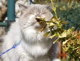 액취증 증상부터 수술 치료까지, 원인과 해결책 총정리