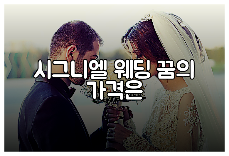 시그니엘 웨딩 꿈의 가격은