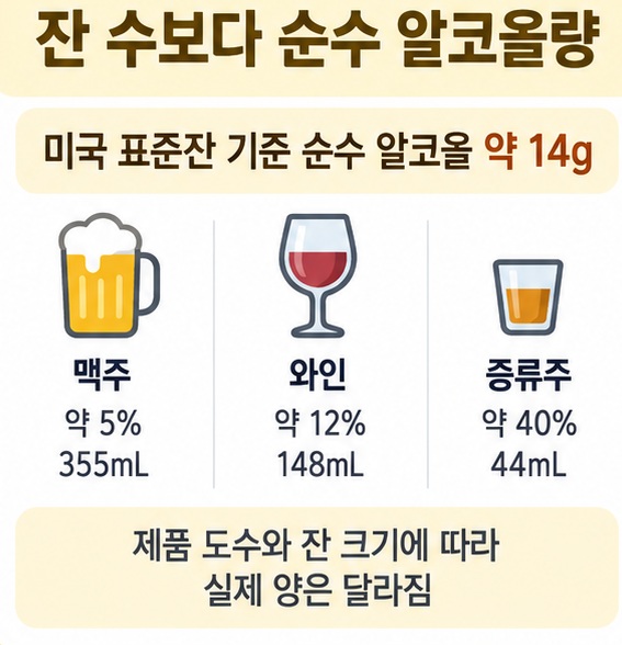 맥주 와인 증류주의 표준잔과 순수 알코올량을 비교하고 잔 크기만으로 분해시간을 계산할 수 없음을 보여주는 이미지