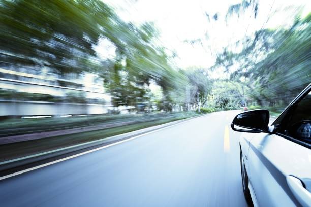 815-사면-대상자-확인