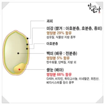 밥할 때 식초 넣는 이유와 효과 및 적정량 정리_9