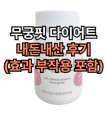 무궁핏-부작용-내돈내산-효과-후기