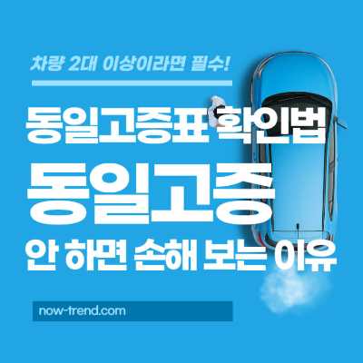동일고증표 확인법 자동차 보험 동일증권 안 하면 손해 보는 이유 섬네일