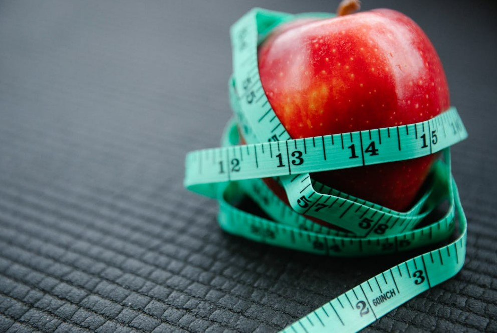 다이어트 앱 비교, 인기 앱 4종 기능·장단점 총정리