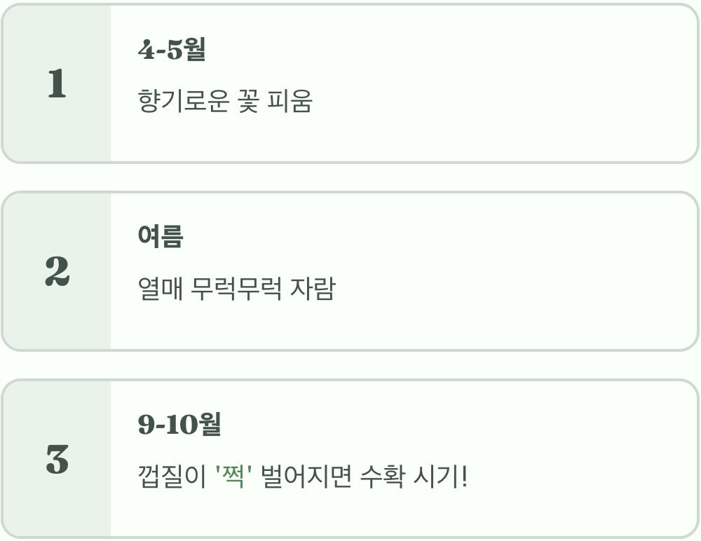 가장 달콤한 순간, 수확의 기쁨