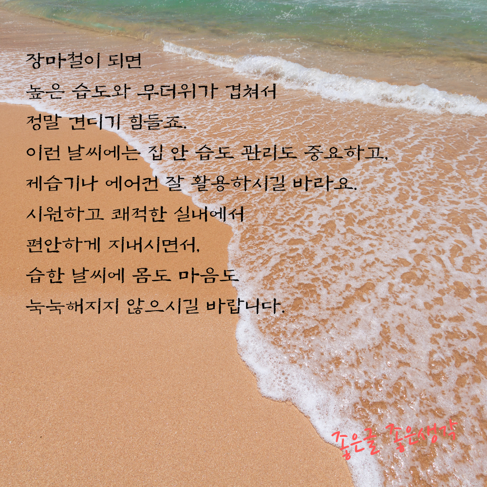 2025년 6월 안부 인사말 문구 모음 이미지