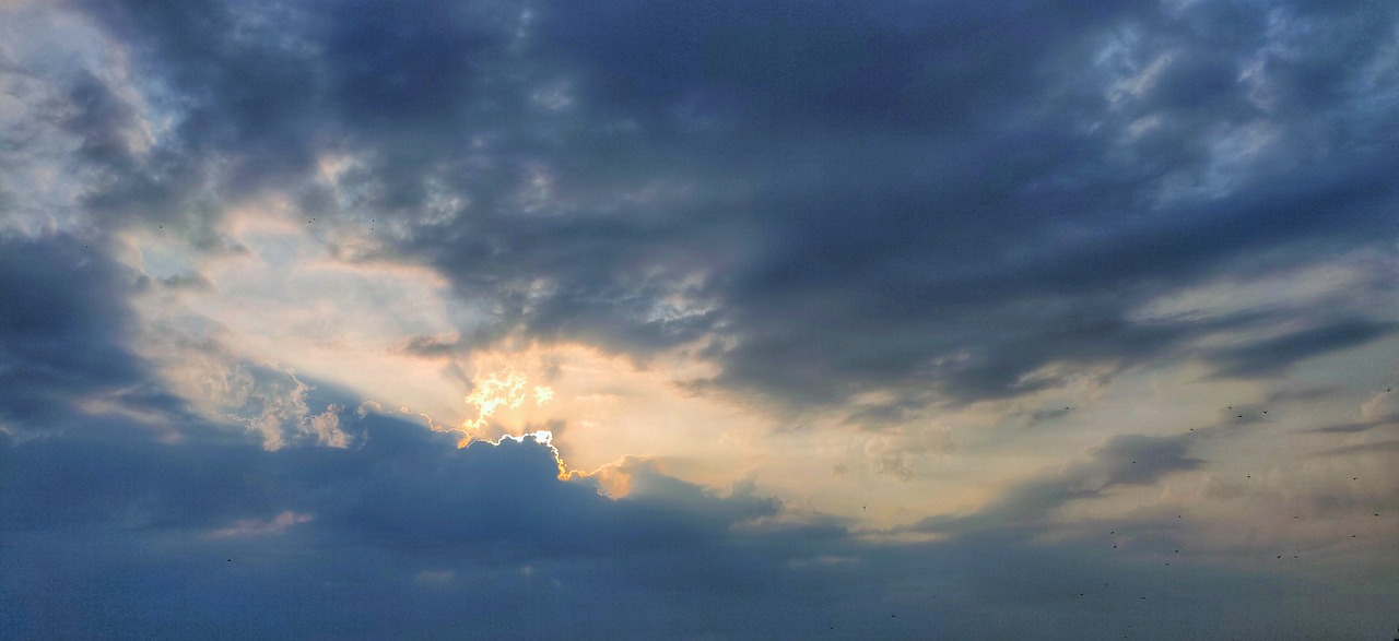 출산양육지원금 