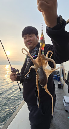 서해안 쭈꾸미 갑오징어 낚시배 정리