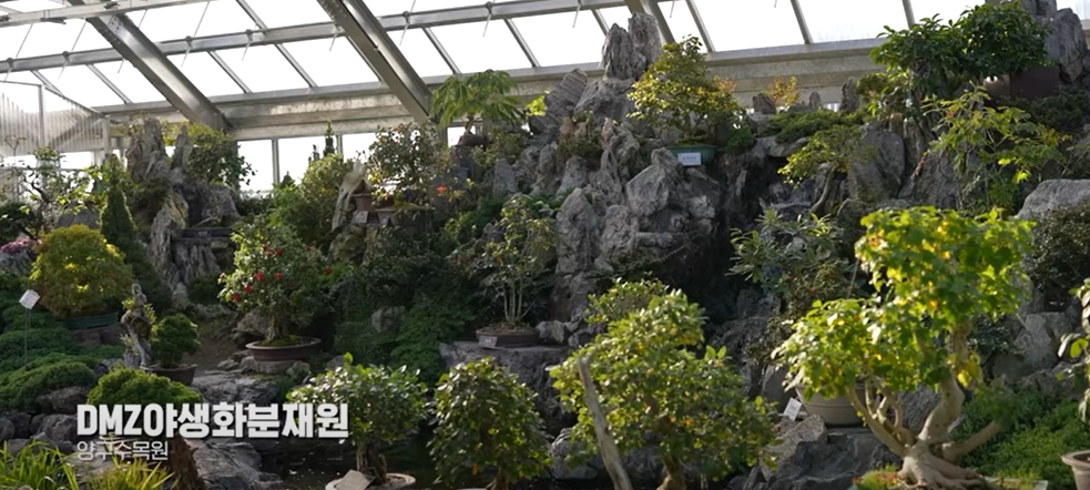 양구여행