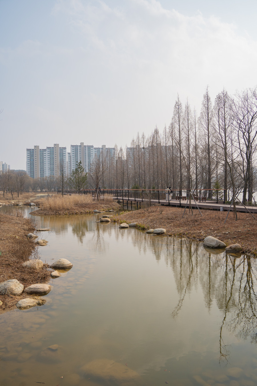 일월 수목원 산책로