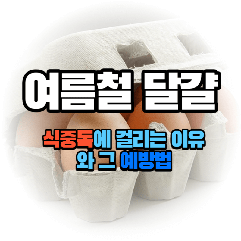 여름철 달걀 식중독에 걸리는 이유와 그 예방 법